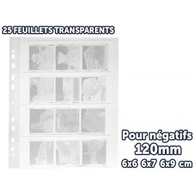 Panodia Feuillets cristal...