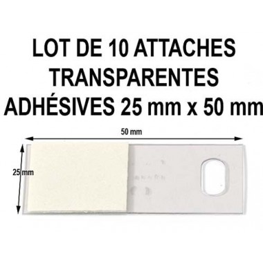 FILMOLUX LOT 10 ATTACHES...