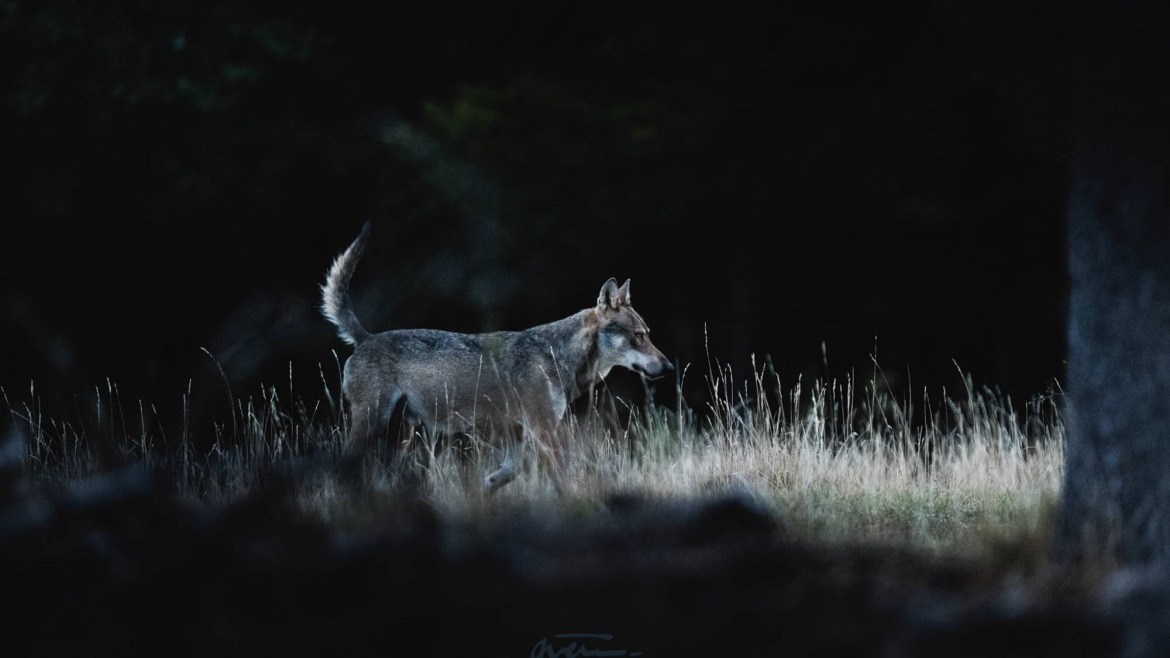 Rencontre avec le photographe Romain Guerin