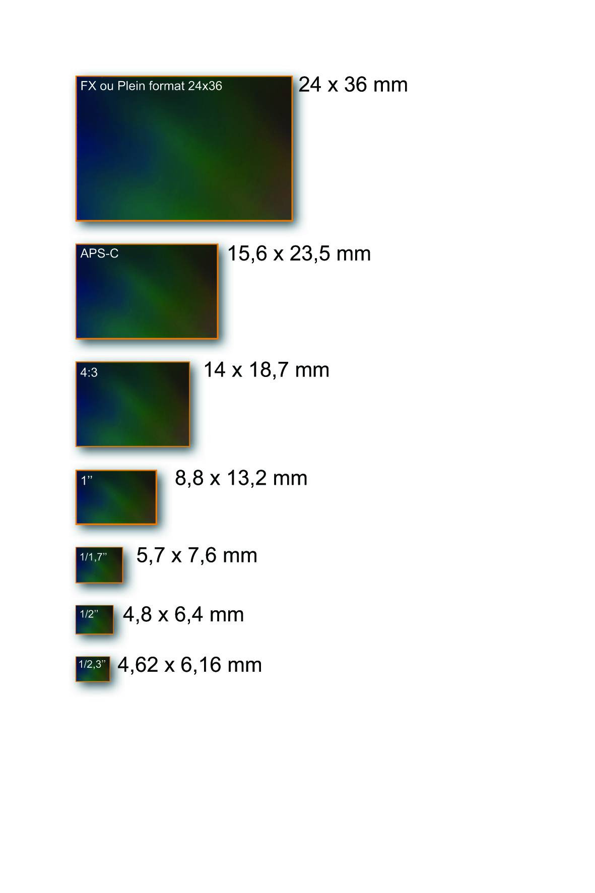Comprendre la taille des capteurs en photo numérique